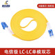 Single mode dual core fiber optic patch cord