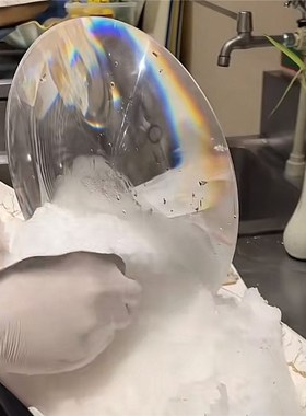 海鲜姿造创意新中式梦幻摆盘透明装饰拼盘摆件海鲜装饰高档圆形盘