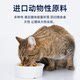 Paipai cat food adult cat food beef fish