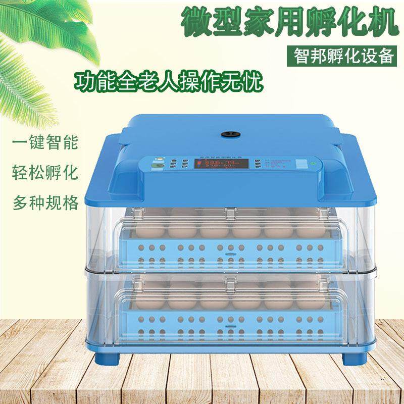 微型家禽种蛋孵化箱小鸡孵化器家用小型孵蛋器孵化机全自动,淘宝优惠券,粉丝福利购,淘宝优惠卷