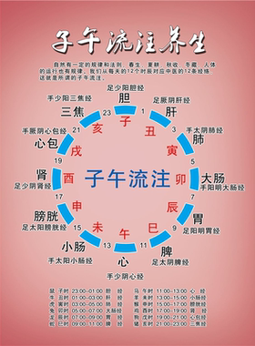 中医养生五行子午流注图装饰画写真海报印制展板喷绘墙贴纸挂图