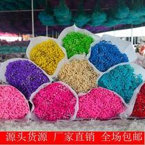 Yunnans eternal life full of the Stars dry flowers and the full Star is full of stars