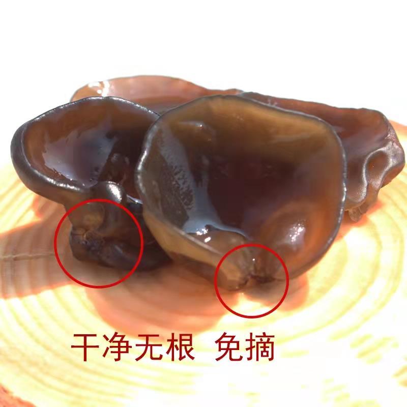 【特惠】东北黑木耳干货东北特产秋木耳干净无根肉厚一斤装 - 图2