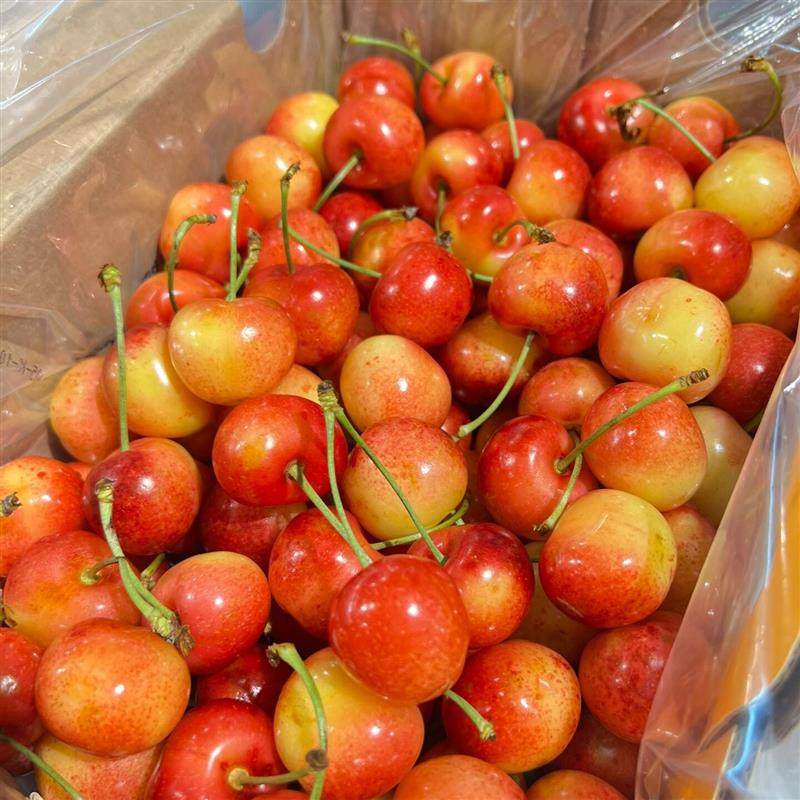 智利进口雷尼尔黄金车厘子2斤礼盒装新鲜时令水果黄色大樱桃顺丰,淘宝优惠券,粉丝福利购,淘宝优惠卷