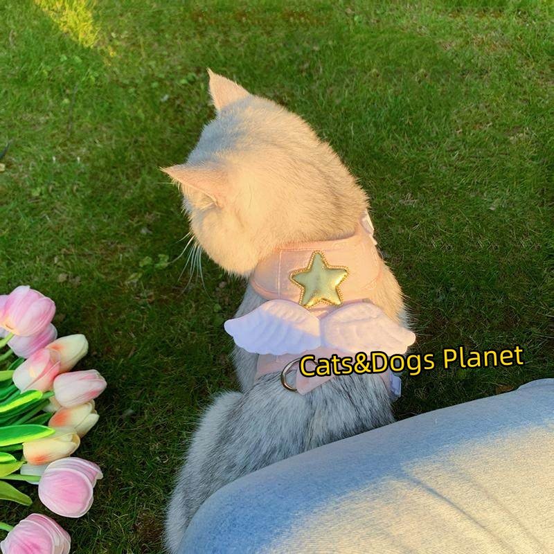 宠物猫咪粉色星星翅膀猫牵引绳狗狗可爱装饰猫咪项圈式牵引带宠物,淘宝优惠券,粉丝福利购,淘宝优惠卷