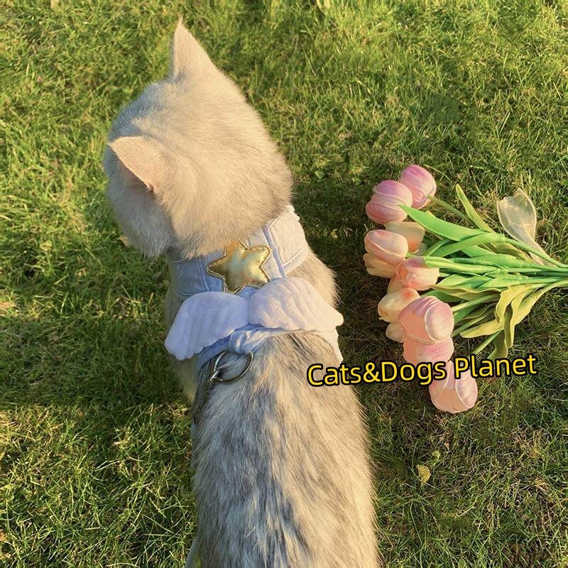 宠物猫咪粉色星星翅膀猫牵引绳狗狗可爱装饰猫咪项圈式牵引带宠物,淘宝优惠券,粉丝福利购,淘宝优惠卷