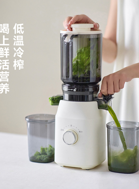 olayks大口径原汁机自动榨汁分离