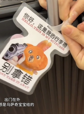 今天的安全感是乌萨奇挂件给的…