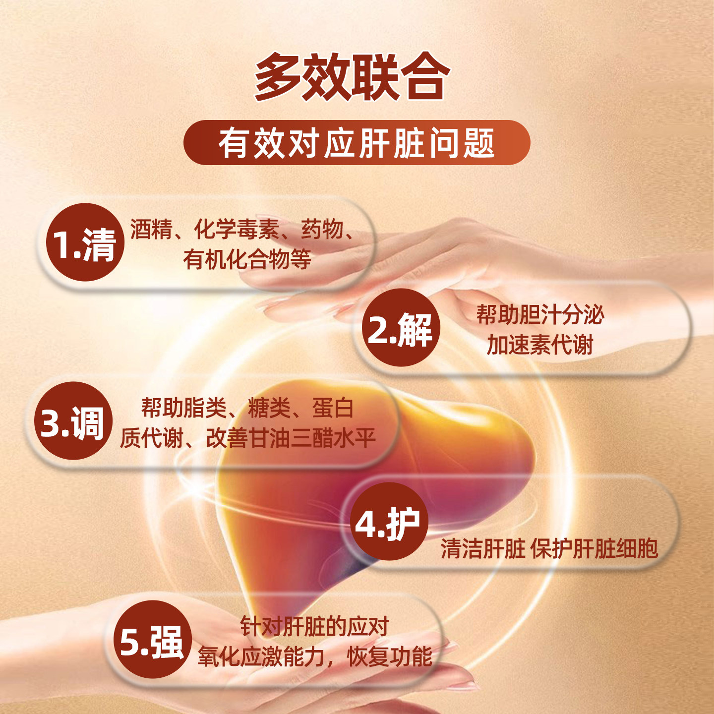 GLYMATE美国进口奶蓟草300mg护肝片姜黄养肝净化熬夜解酒降转氨酶