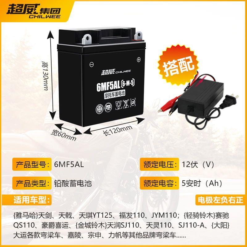 新品摩托车电瓶12n5l-bs免维护12v5a天剑125弯梁配件干蓄电池 - 图2