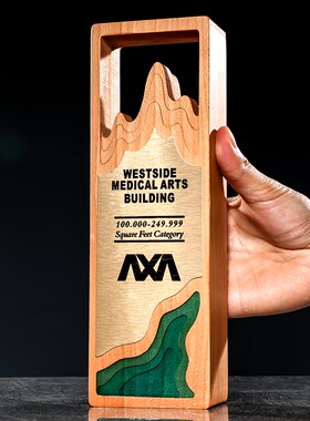 高山流水创f意实木木质水晶奖杯定制定做刻字比赛荣誉纪念品