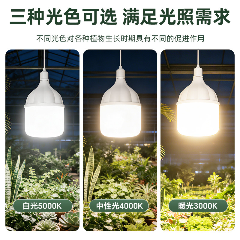 植物补光灯仿太阳光大棚蔬菜花卉绿植户外防水灯串灯泡led生长灯,淘宝优惠券,粉丝福利购,淘宝优惠卷
