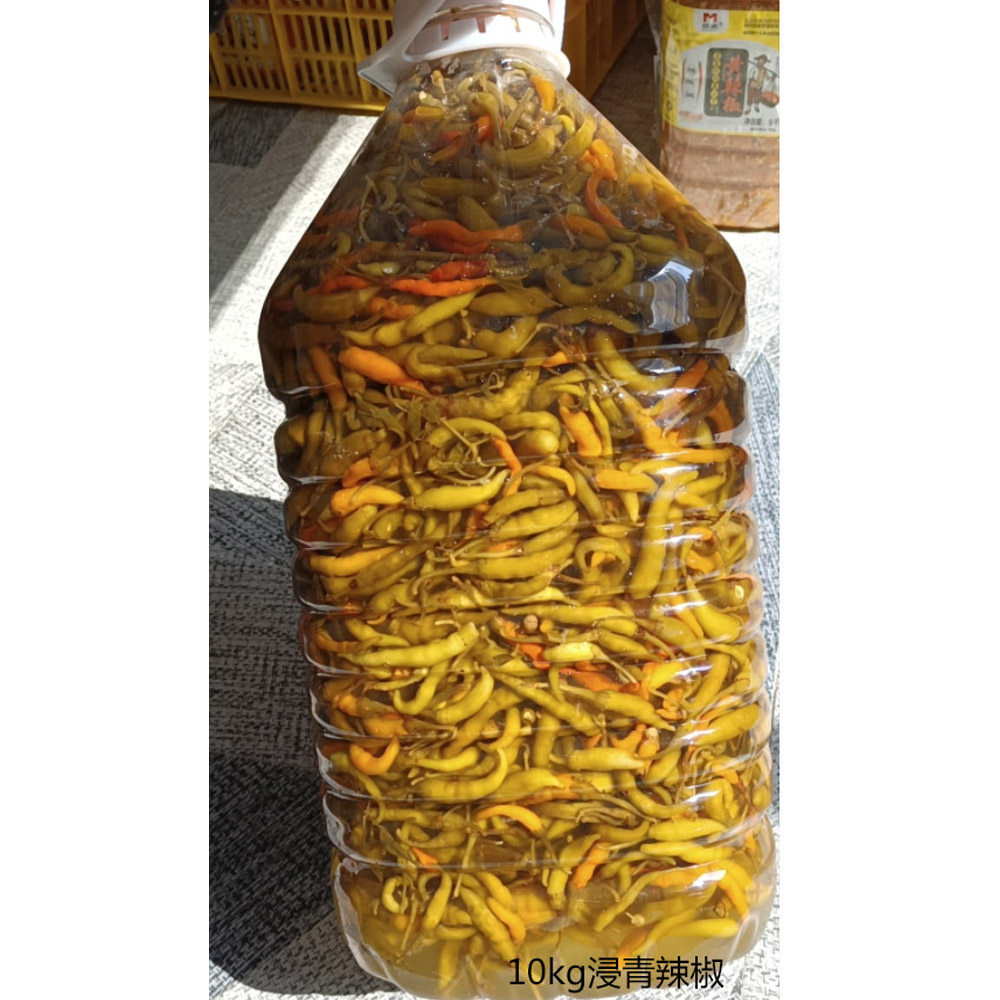 原王十万乡浸黄辣椒酸辣椒腌辣椒酒店餐饮商用农家10kg大桶