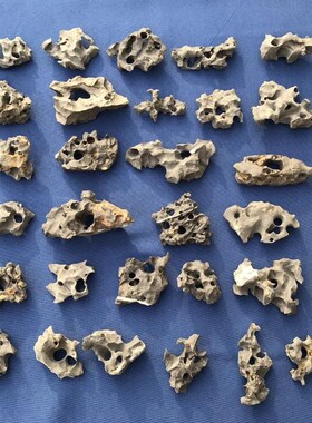 太湖石天然原石小鱼缸微盆景造景石微景观北丹石T矮霸小盆景石头