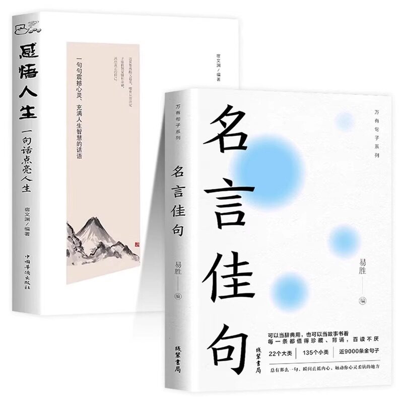 官方正版名言佳句+感悟人生语录大全人生感悟初中生高中生小学生名人名言经典语录励志书籍格言警句优美句子积累好词好句好段大全