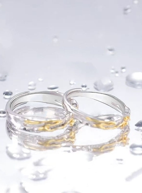 双子星情侣对戒一对2025新款爆款