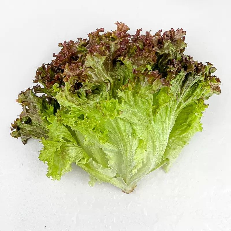 红叶生菜新鲜蔬菜沙拉即食新鲜生菜500g烤肉西餐轻食材罗莎红生菜,淘宝优惠券,粉丝福利购,淘宝优惠卷