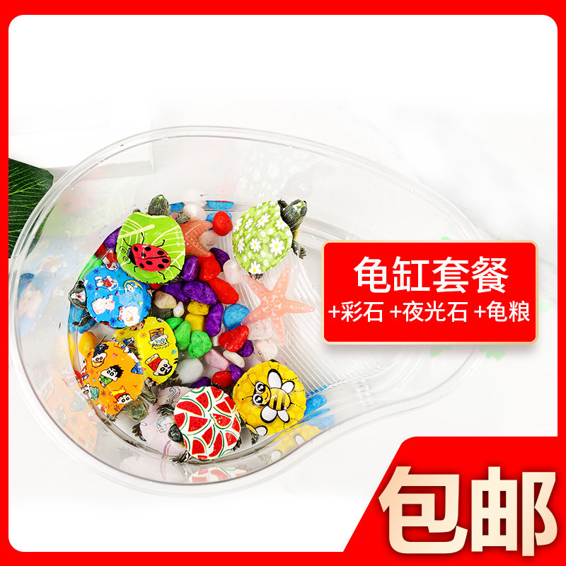 七彩小乌龟活物小彩龟宠物活体巴西龟炫彩乌龟工厂直销卡通观赏龟,淘宝优惠券,粉丝福利购,淘宝优惠卷