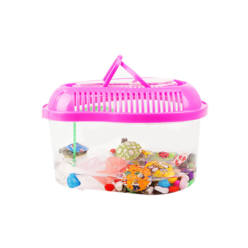 七彩小乌龟活物小彩龟宠物活体巴西龟炫彩乌龟工厂直销卡通观赏龟,淘宝优惠券,粉丝福利购,淘宝优惠卷