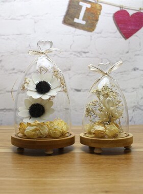 极速干花玻d璃罩透明微景观花房摆件 家居客厅卧房装饰品永生花摆