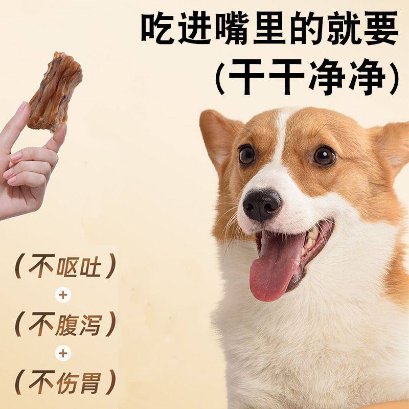 风干鸭脖狗狗磨牙棒无添加狗粮宠物零食大小型犬狗狗零食磨牙洁齿,淘宝优惠券,粉丝福利购,淘宝优惠卷