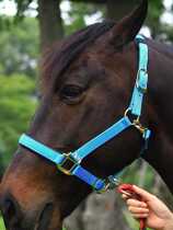 Horse dragon head to teach horse cage head for horse rope equestrian horse equestrian horse with water le reins horse racing accessories horses pull rope