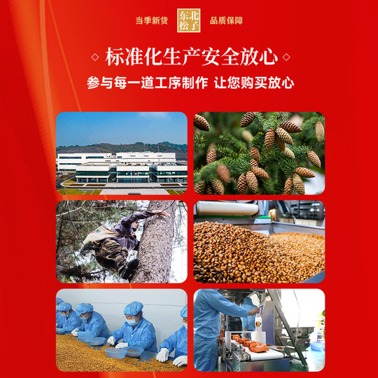 Tienda insignia de Northeastern Pine Nuts Grandes novedades