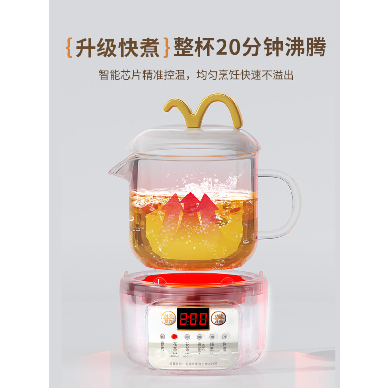 小型煮茶壶一人养生壶迷你型家用多功能煮茶器水壶煮茶办公室玻璃-图2