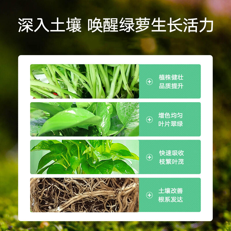 绿萝专用营养液花肥料盆栽通用浓缩肥室内植物养花种花绿箩液体肥 - 图2