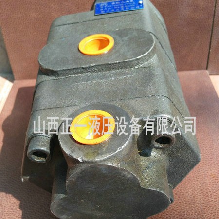 直供兰考吊车专用双联齿轮泵2CB-FE40(32/20E-F1/4L11/12-2/3L) - 图1