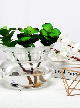 爆款花边鱼缸玻璃各种规格透明水培绿色养殖玻璃器皿办公桌家居摆