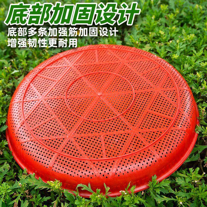 塑料粮食筛子圆簸箕晒茶萝卜干晒东西家用米筛细孔养蚕晒菜饺子大,淘宝优惠券,粉丝福利购,淘宝优惠卷