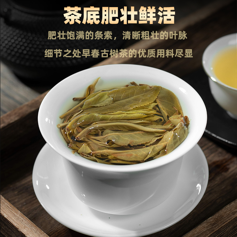 老班章普洱茶生茶古树茶普洱茶2023年勐海生普洱茶云南七子饼茶叶-图3