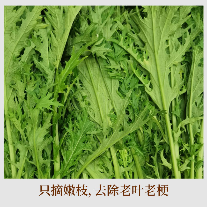 精品浙江正宗梅干菜干货非特级农家自耕无沙霉菜扣肉土特产雪里蕻 - 图3