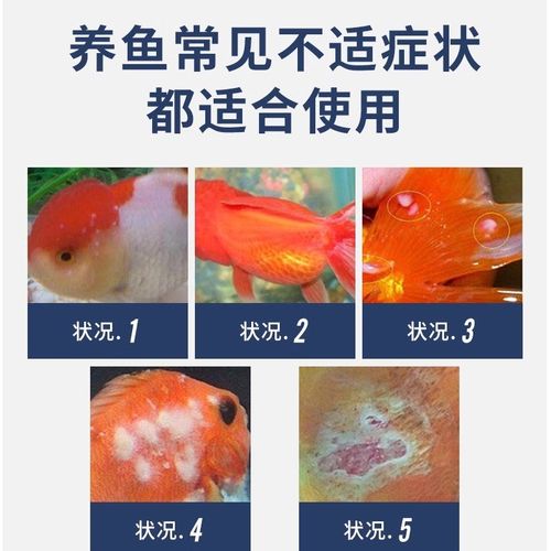 极速浓缩亚甲基蓝溶液鱼缸净化水质稳定剂观N赏鱼白点净水族硝化 - 图1