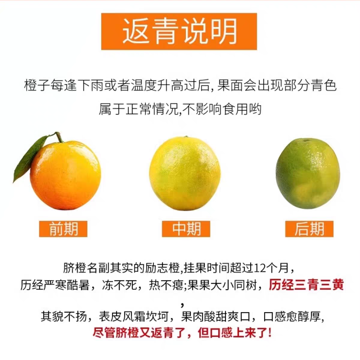 渝见橙正宗重庆奉节脐橙当季新鲜水果橙子手剥橙甜橙现摘现发,淘宝优惠券,粉丝福利购,淘宝优惠卷