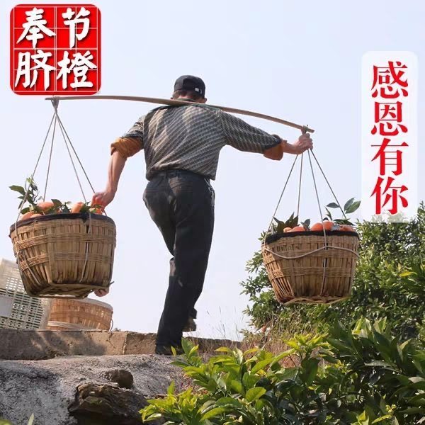 渝见橙正宗重庆奉节脐橙当季新鲜水果橙子手剥橙甜橙现摘现发,淘宝优惠券,粉丝福利购,淘宝优惠卷