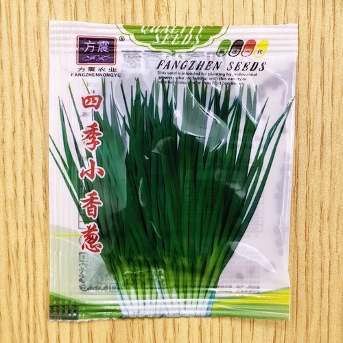 四季小香葱种子庭院阳台盆栽小葱种籽蔬菜种子四季播易种农家菜园 - 图2