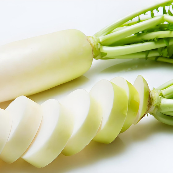 Summer heat-resistant white jade radish large white radish species