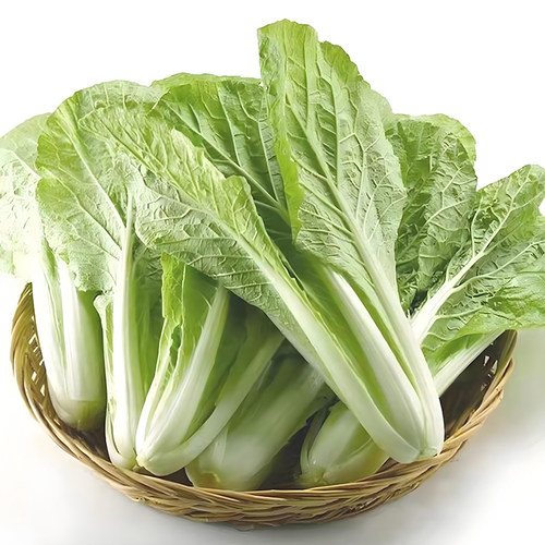 2包四季黄金奶油小白菜早熟阳台庭院种菜种四季播奶油白菜蔬菜 - 图3