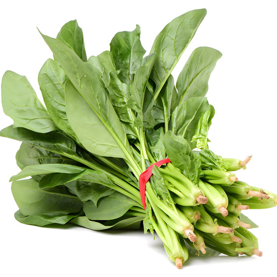 Overwintering Spinach Seeds Round Large Leaf Spinach Seeds