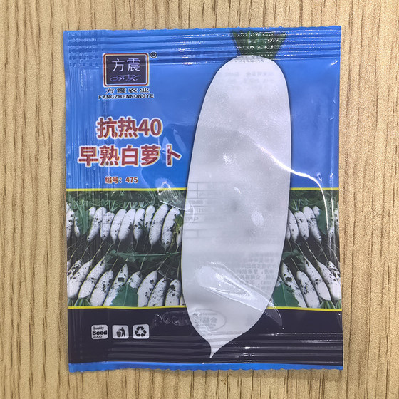 Summer heat-resistant white jade radish large white radish species