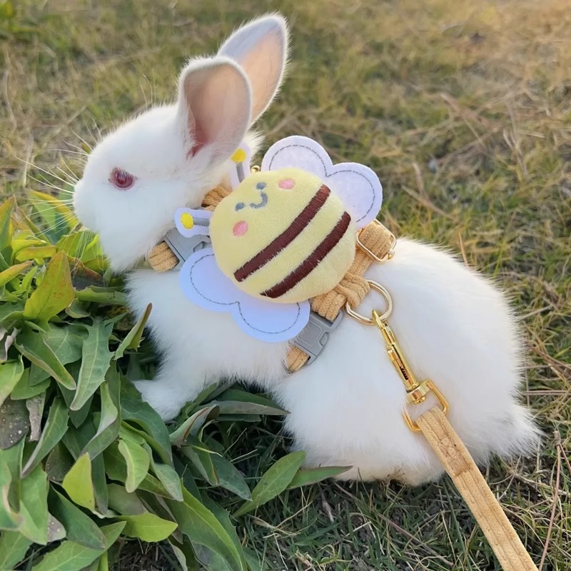 兔子牵引绳可调节垂耳兔海棠兔荷兰侏儒兔外出专用猫咪蜜蜂宠物绳 - 图0