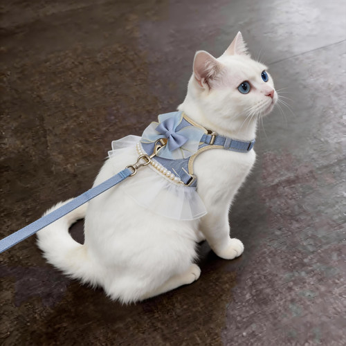 猫咪牵引绳蝴蝶结胸背防挣脱外出专用溜猫绳幼猫狗狗背心式可调节 - 图0