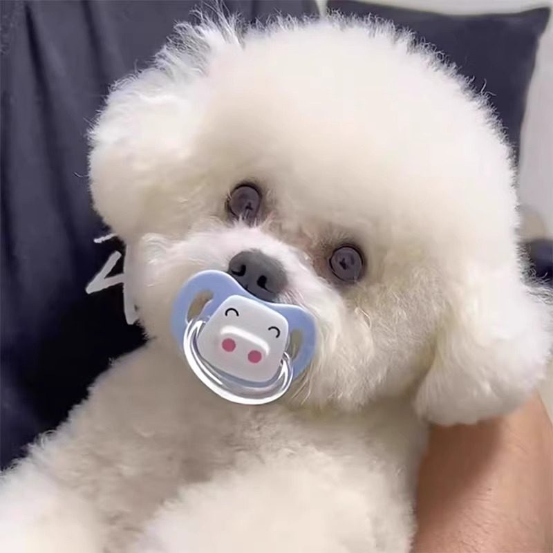 狗狗专用安抚仿生奶嘴宠物玩具幼犬磨牙解闷幼犬比熊猫咪新生睡觉,淘宝优惠券,粉丝福利购,淘宝优惠卷