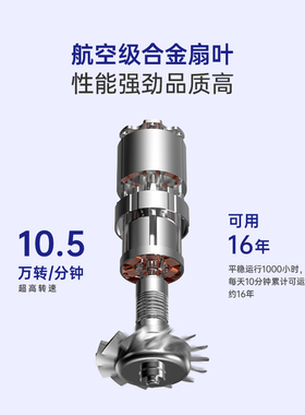 星级酒店同款恒温护发高速电吹风