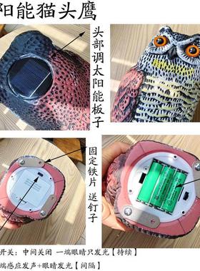 户外驱鸟神器仿真猫头鹰摆件园林驱鼠驱鸟神器赶鸟器仓库阳台驱鸟