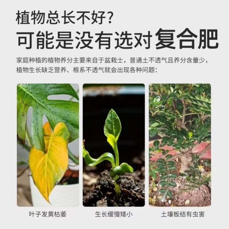 大蒜专用肥菜地肥料瓜果肥种植肥家庭不烧根不烧苗大蒜专用土室内 - 图1