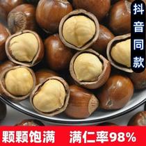 (Taiho exclusive) Northeastern big fruit cooked hazelnut (lower single delivery clip) 2023 New stock large iron pan bulky leather
