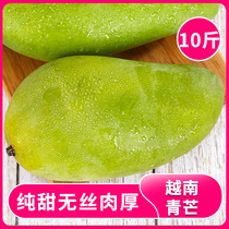 Spot Vietnamese green mango 10 catty of great fruit Fresh should season fruit turquotskin gold Huangs sweetheart import tropical pregnant women